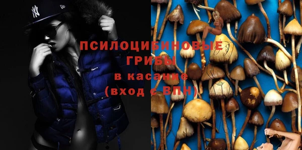 прущая мука Покачи
