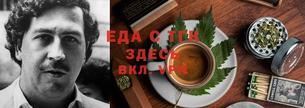 дживик Верхний Тагил